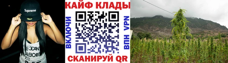 Как найти закладки Рассказово Галлюциногенные грибы  Кокаин  ГАШ  Меф  Конопля 