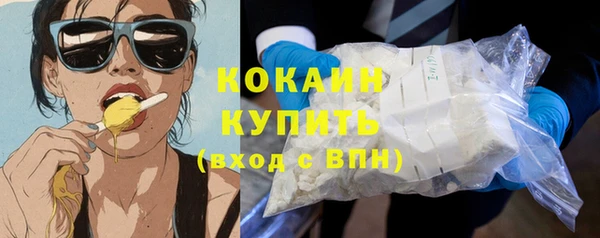 дурь Арсеньев