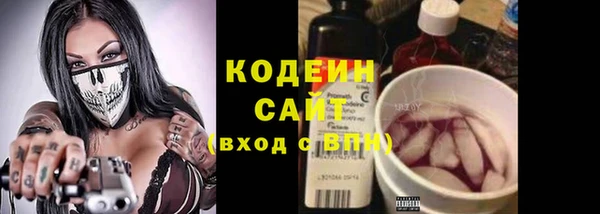 дурь Арсеньев