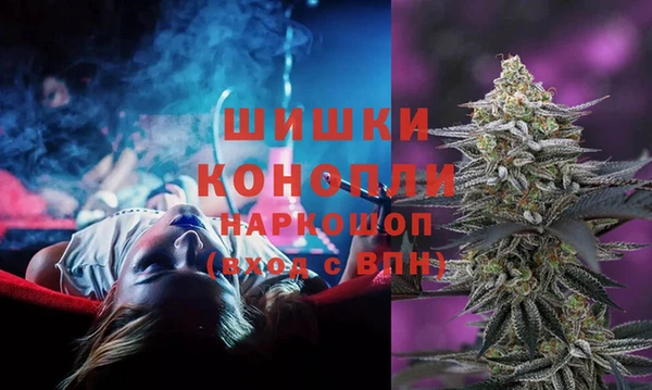 дурь Арсеньев