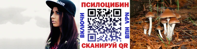 дарнет шоп  Рассказово  Галлюциногенные грибы мицелий 